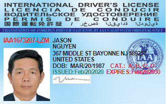 Unofficial International Driving Document card